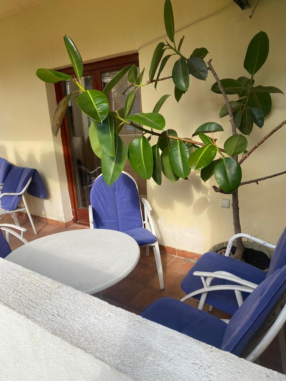Apartmani Zelenika Χέρτσεγκ Νόβι Δωμάτιο φωτογραφία