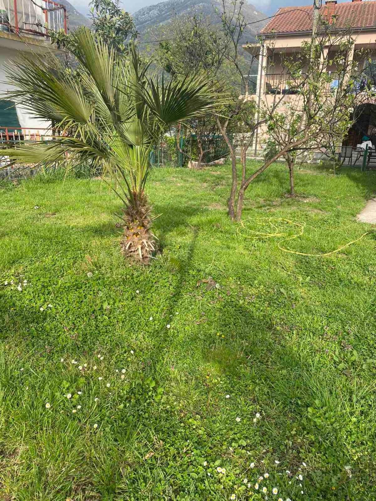 Apartmani Zelenika Χέρτσεγκ Νόβι Δωμάτιο φωτογραφία