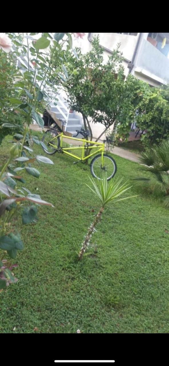 Apartmani Zelenika Χέρτσεγκ Νόβι Εξωτερικό φωτογραφία